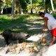 88- Emile ouvre des cocos 